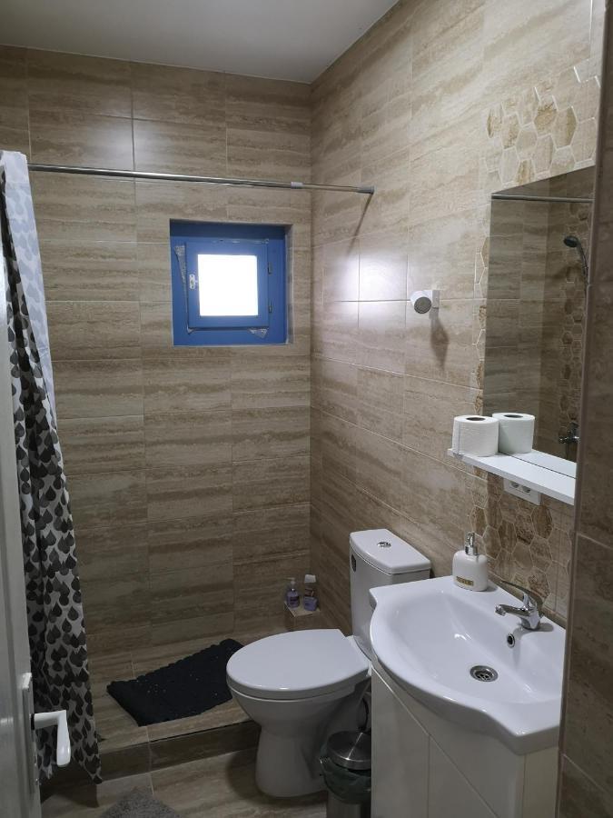 Отель Casa David Dunavatu de Sus Экстерьер фото