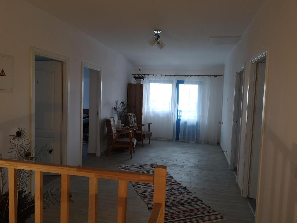 Отель Casa David Dunavatu de Sus Экстерьер фото
