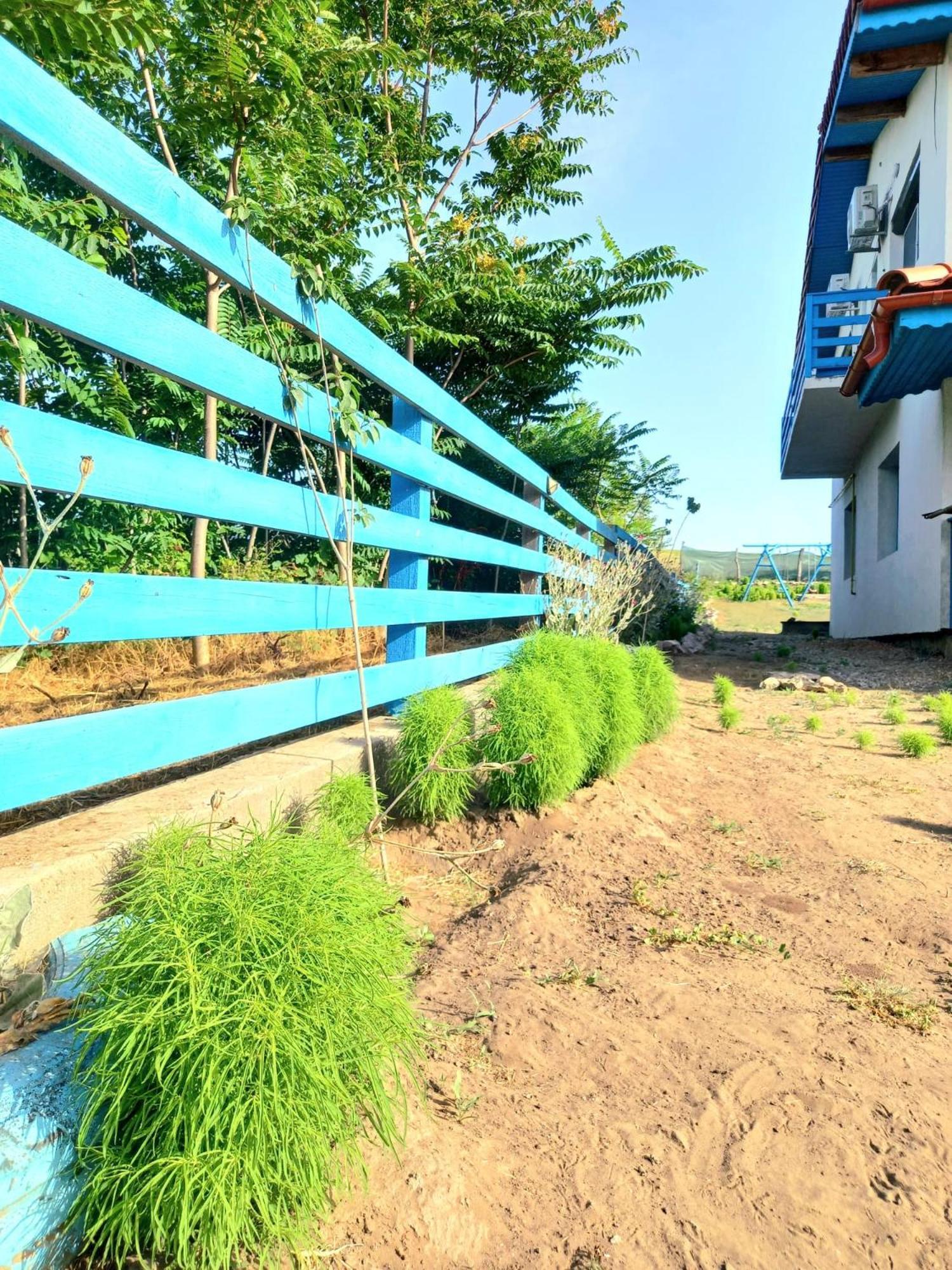 Отель Casa David Dunavatu de Sus Экстерьер фото